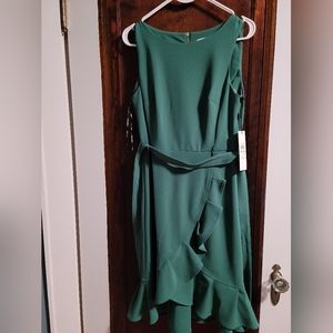 NWT Calvin Klein Ruffle Dress